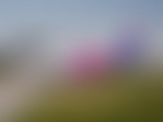 Wizz Air Expands Network in Albania With Two New Routes and a New Tirana Based Aircraft