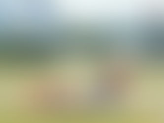 Sun Country Airlines to Launch New Florida Service From Minneapolis and Wisconsin for Spring 2023