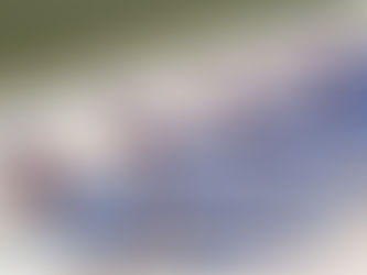 Allegiant Reports Second Quarter Adjusted Net Income of $60 Million on Revenue of $472 Million