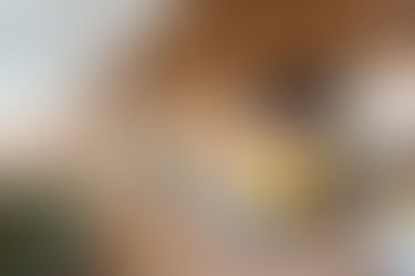 SkyTeam Expands Elite Plus Lounge Benefits to Include Domestic Itineraries