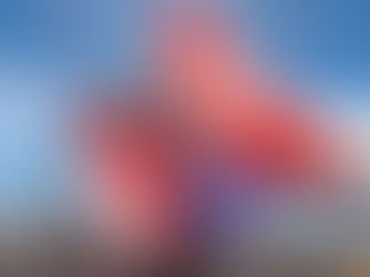 Qantas to Launch New Direct Service Between Darwin and Singapore From December 2024