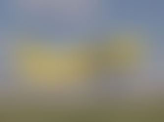 Spirit Airlines Reports Second Quarter Net Loss of $288 Million on Revenue of $859 Million