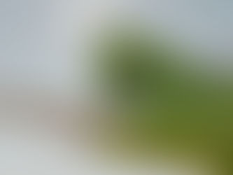 Delta Air Lines and airBaltic Launch New Codeshare Partnership