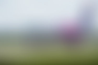 Wizz Air Reports Fiscal Third Quarter 2026 Net Loss of €139.3 Million