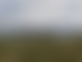 Lufthansa’s First Boeing 787-9 Dreamliner with Lufthansa Allegris Touches Down in Frankfurt