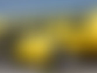 Spirit Airlines Reports Third Quarter 2020 Net Loss of $99.1 Million on 59.5 Percent Revenue Decline