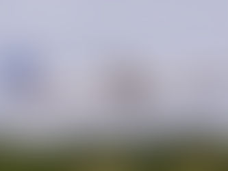 United Airlines Reports Second Quarter Net Income of $329 Million or $1.00 per Diluted Share