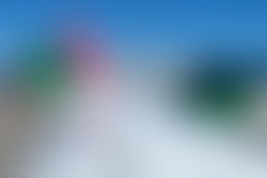 Norwegian Group Reports Record 2025 Financial Results