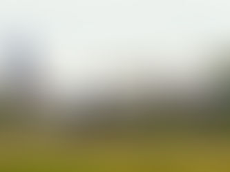 United Airlines Reports Fourth Quarter Net Loss of $1.9 Billion on 69% Revenue Decline to $3.4 B