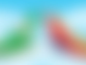 EVA Air and Southwest Airlines Launch New Interline Partnership