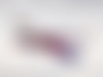 Wizz Air Opens New Pilot Training Center at Rome Fiumicino Airport