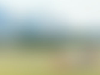 Sun Country Airlines to Launch New Service From Minneapolis-St. Paul to Two Florida Destinations