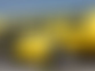 Spirit Airlines Reports First Quarter Net Loss of $27.8 Million on Revenues of $771 Million