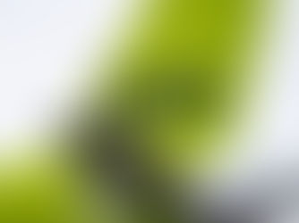 AirBaltic Reports First Half 2020 Consolidated Loss of €185 Million on 62 Percent Revenue Decline