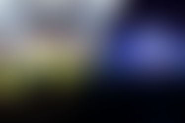 Air France-KLM Group’s Flying Blue Loyalty Program Launches ‘Flying Blue Experiences’