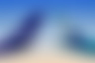 SAS Signs Codeshare Agreement with WestJet, Expanding Transatlantic Cooperation