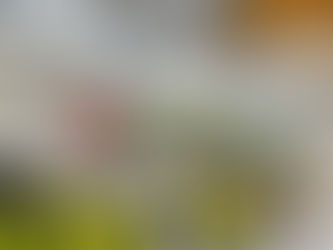 Airbus Inaugurates New A320 Family FAL in Toulouse