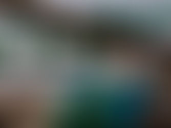 Frontier Airlines Begins Service From Tampa to Cancun, Adds Five Destinations From Raleigh-Durham