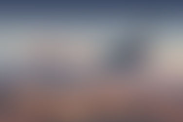 WestJet Announces Cabin Reconfiguration Strategy Update