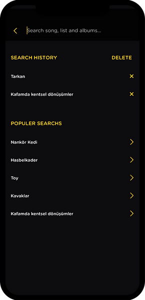 fizy_search_old.png