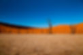 COVER Deadvlei.jpg