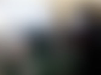 The Left Coast Forum