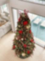 Professional christmas tree hire sunshine coast in a luxury home.