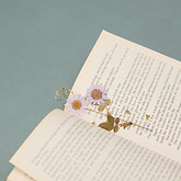 img-007.jpg