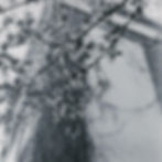 fragments