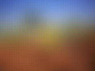 Why Forever Aloe Vera Gel 