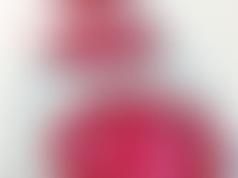 Chennai Escort Agency