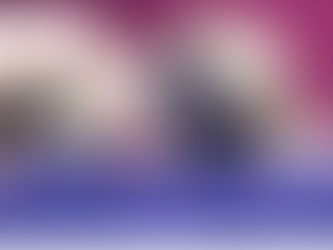 Chennai Escort Agency