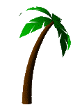 palm 2
