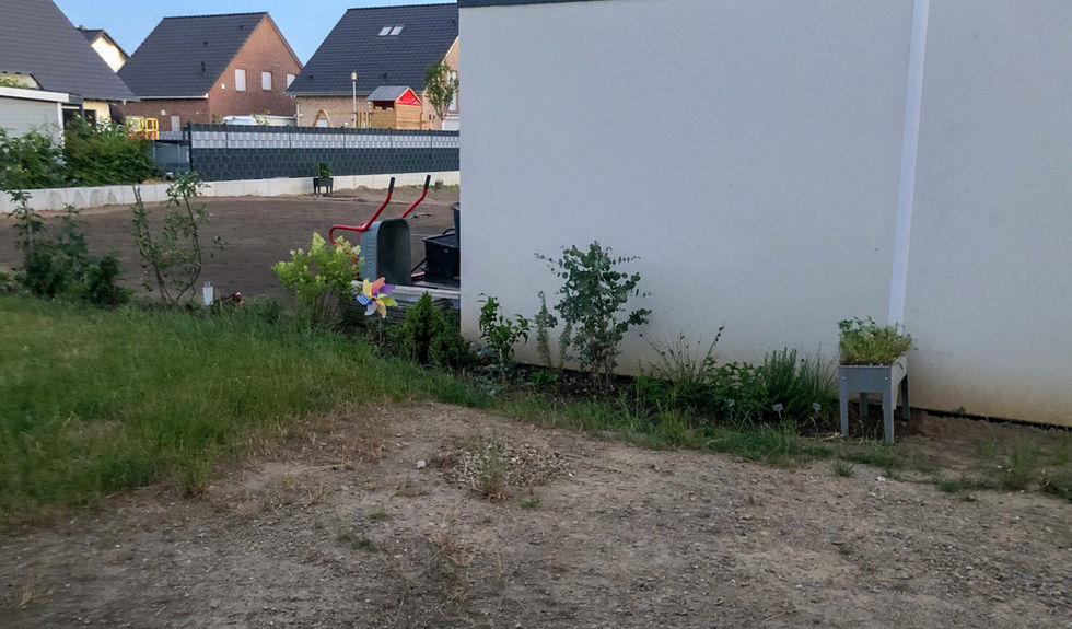rasen-vorbereitung-3.jpg