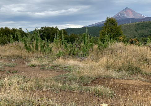 Captura de pantalla 2023-05-03 a la(s) 11.23.47.png