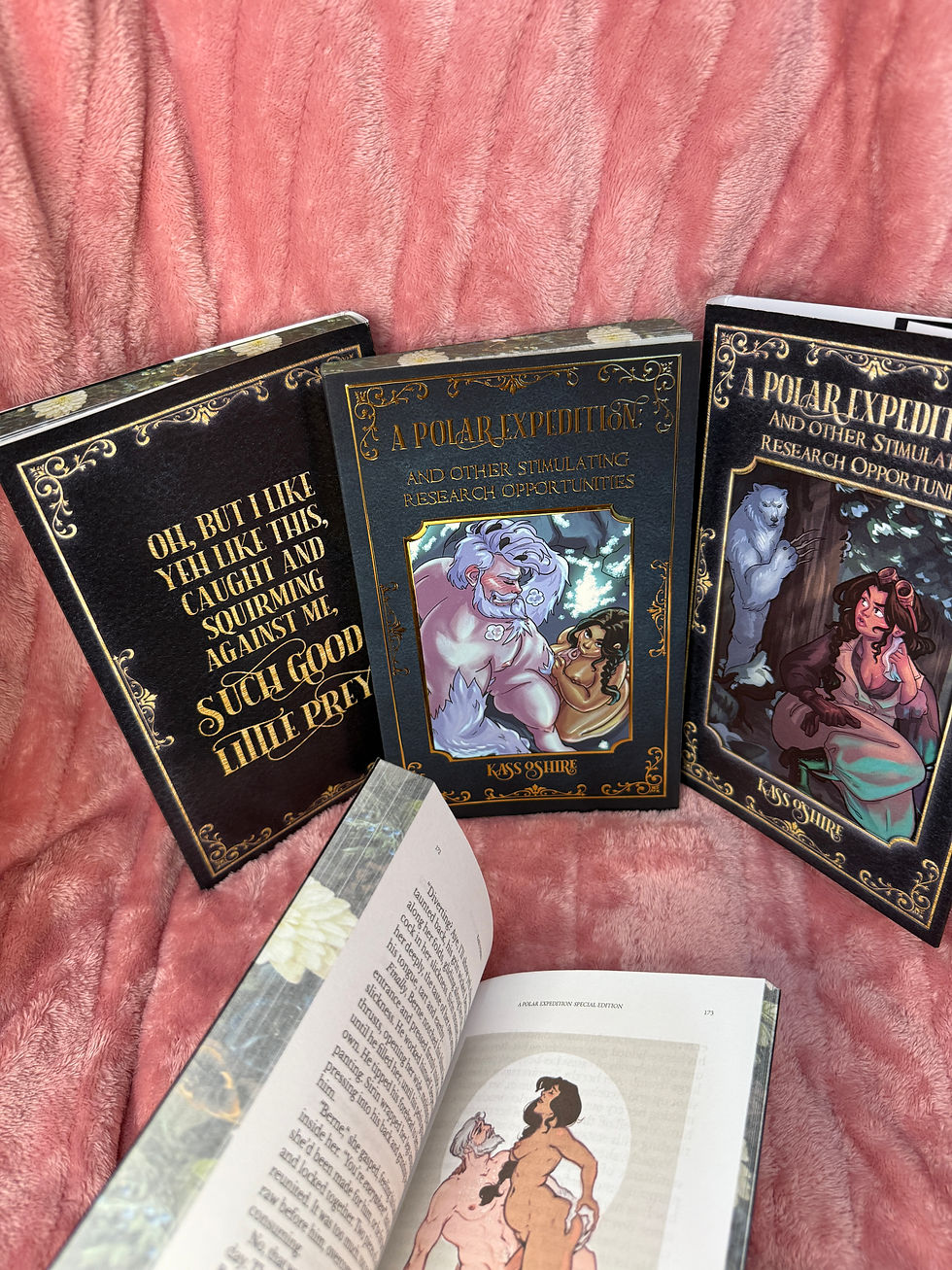 Thumbnail: NSFW Special edition (with SFW dust jacket): A Polar Expedition by Kass O'Shire