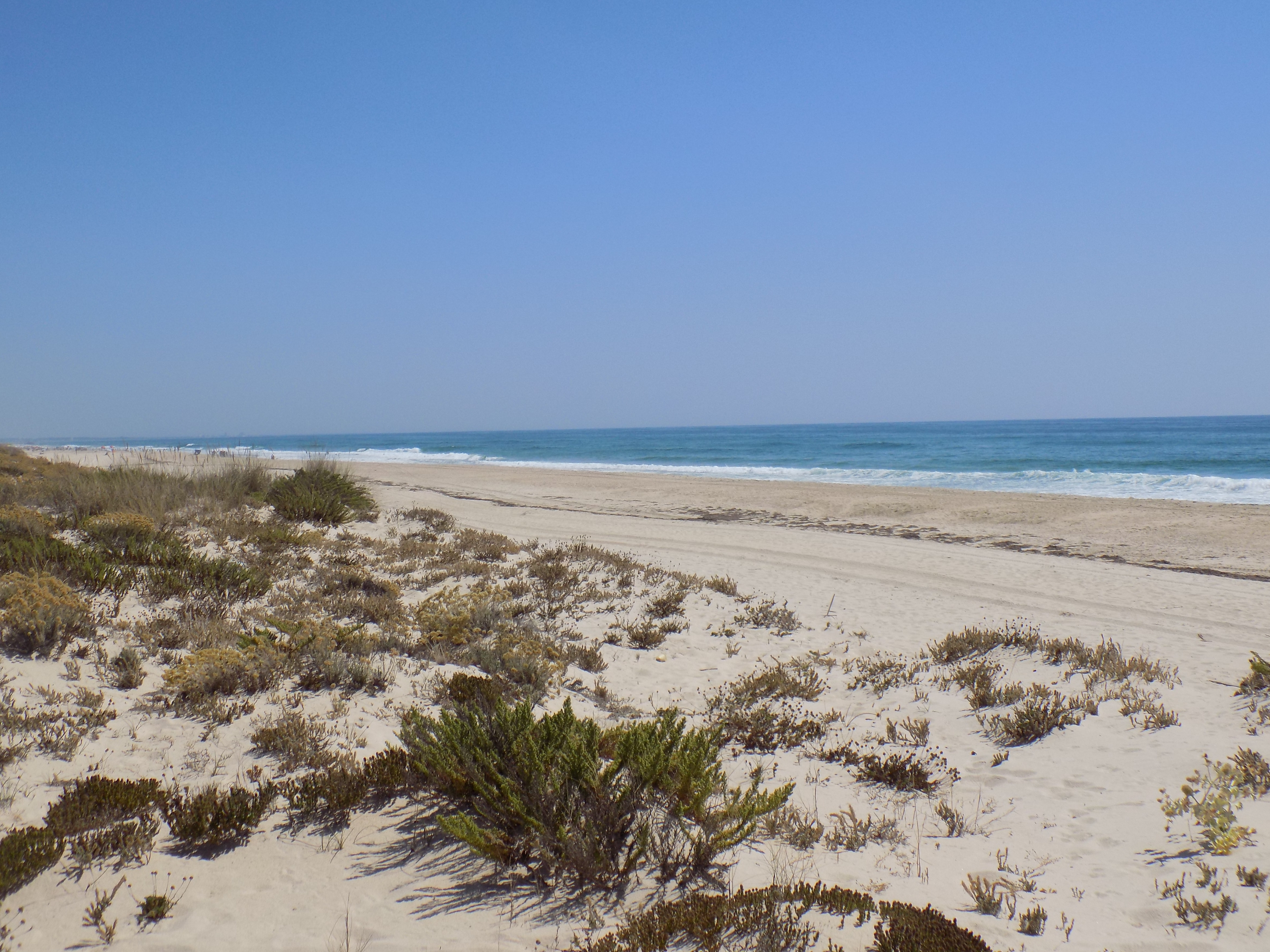 Tavira - Praia de Barril