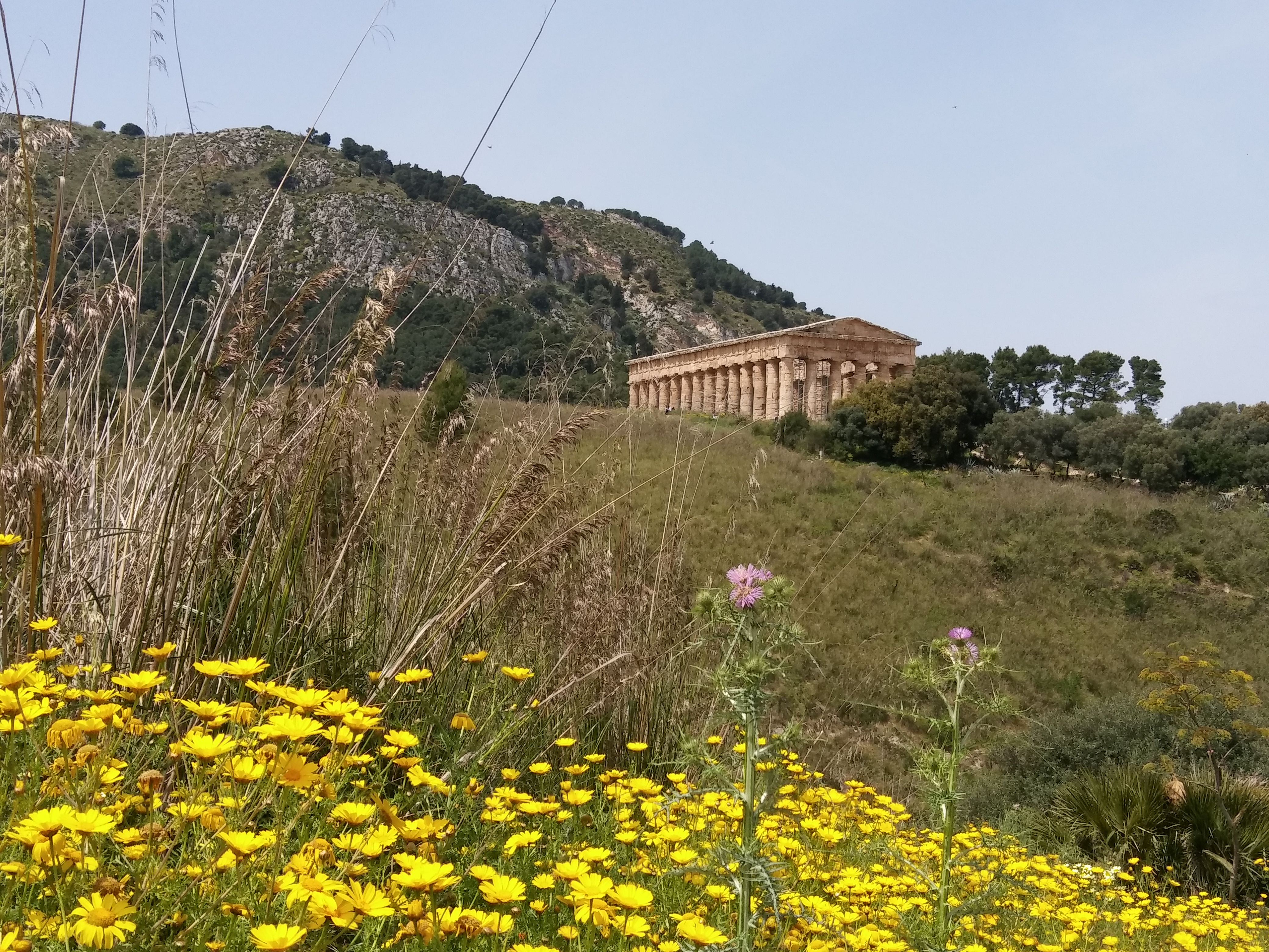 Segesta