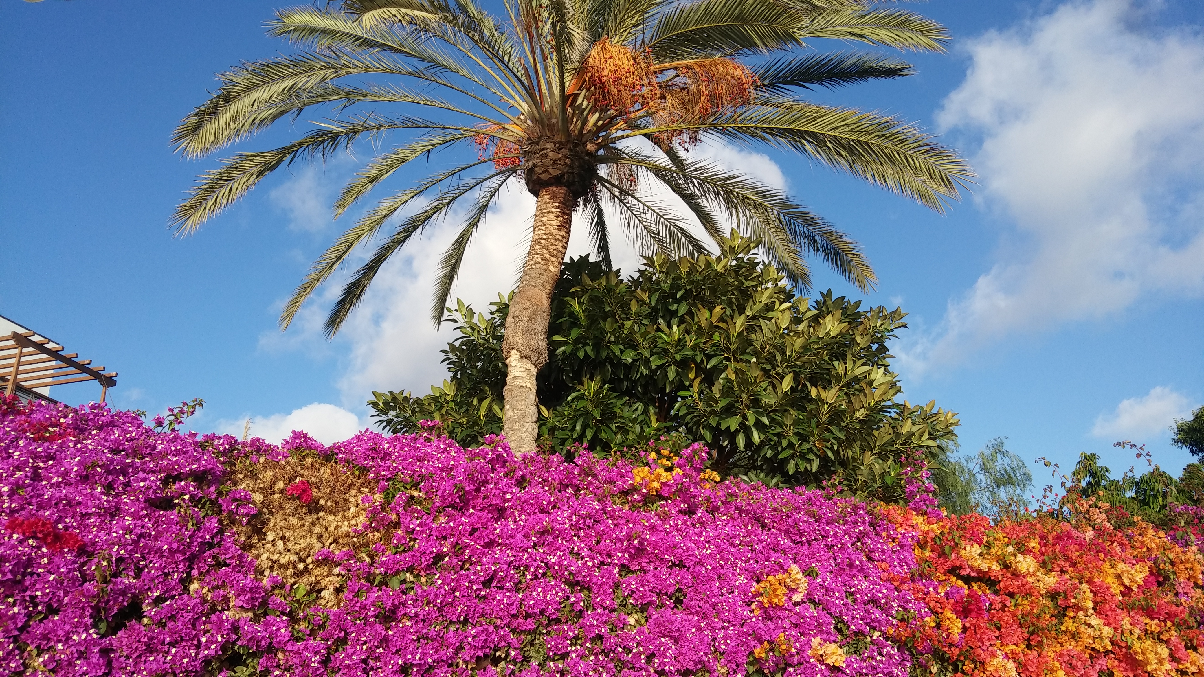 Playa Blanca