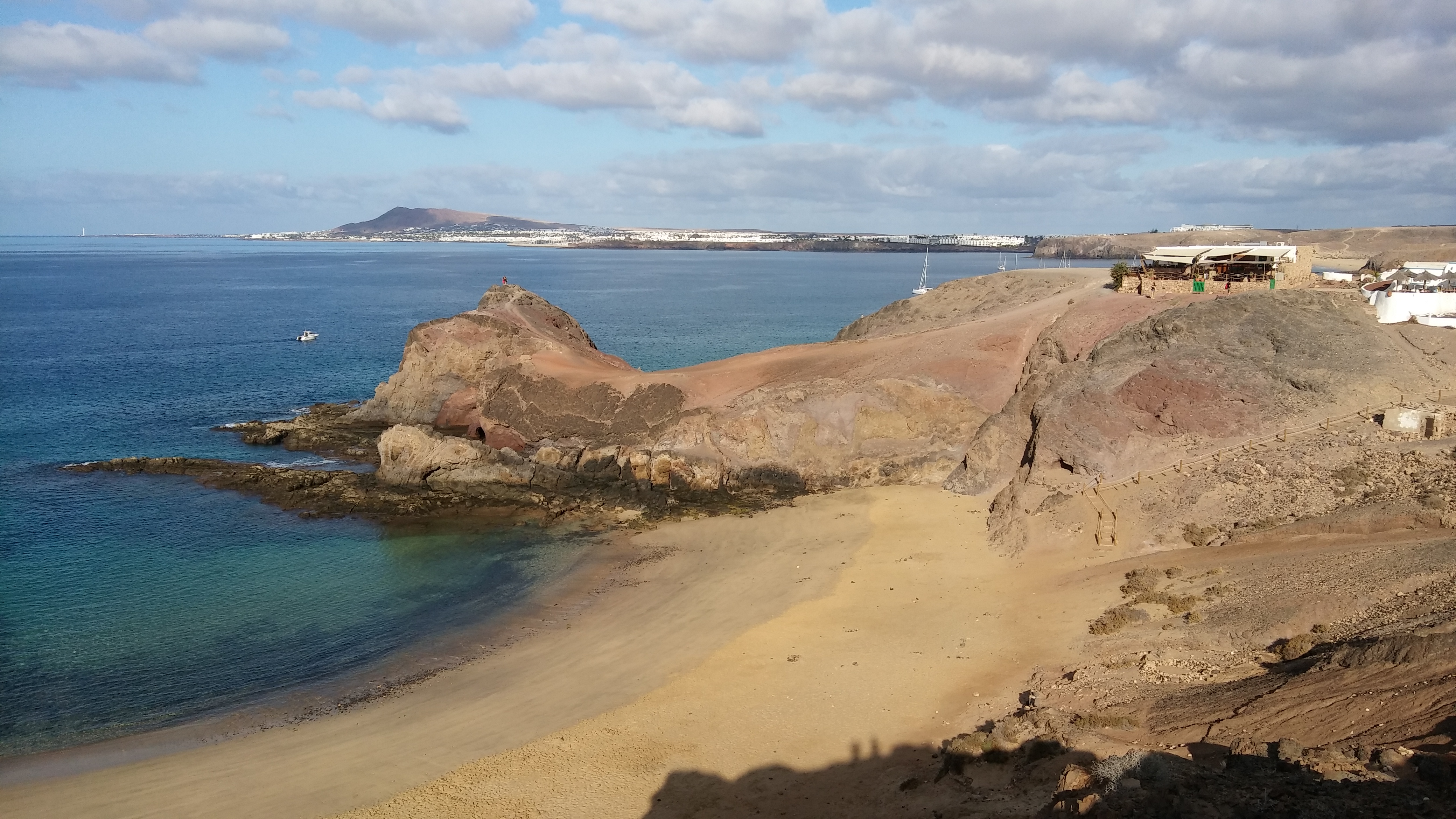 Papagajo