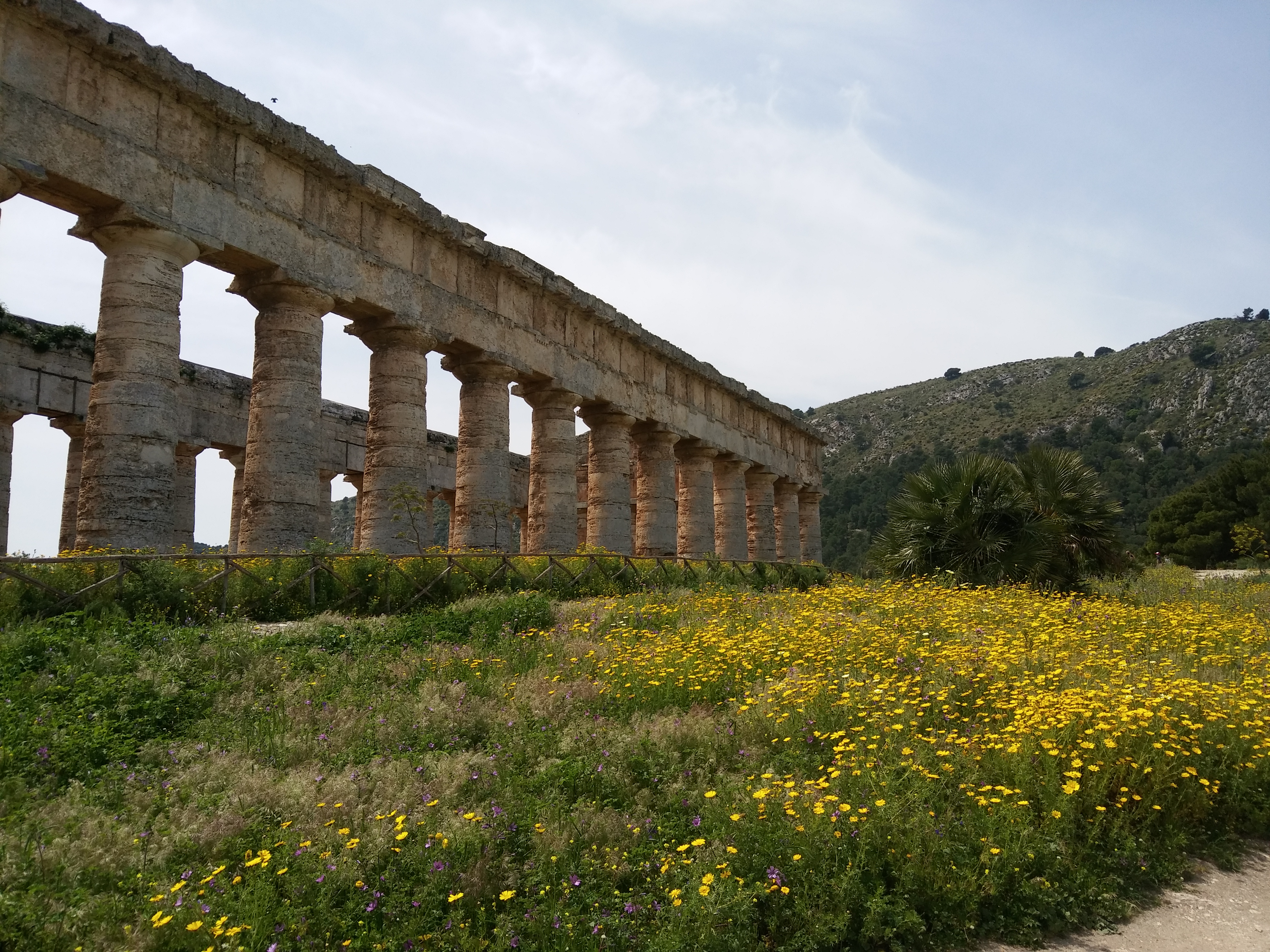Segesta