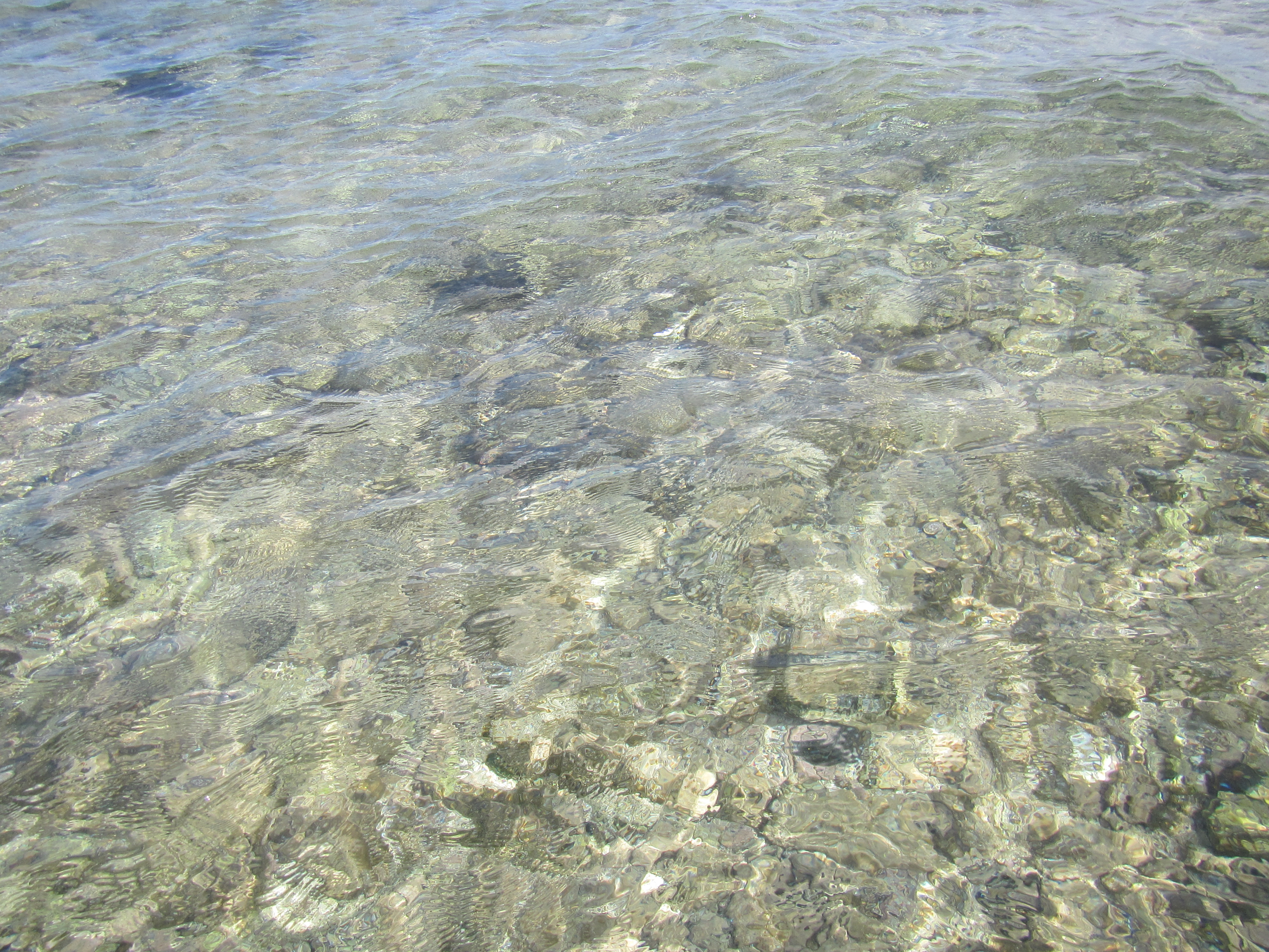 SHARK BAY