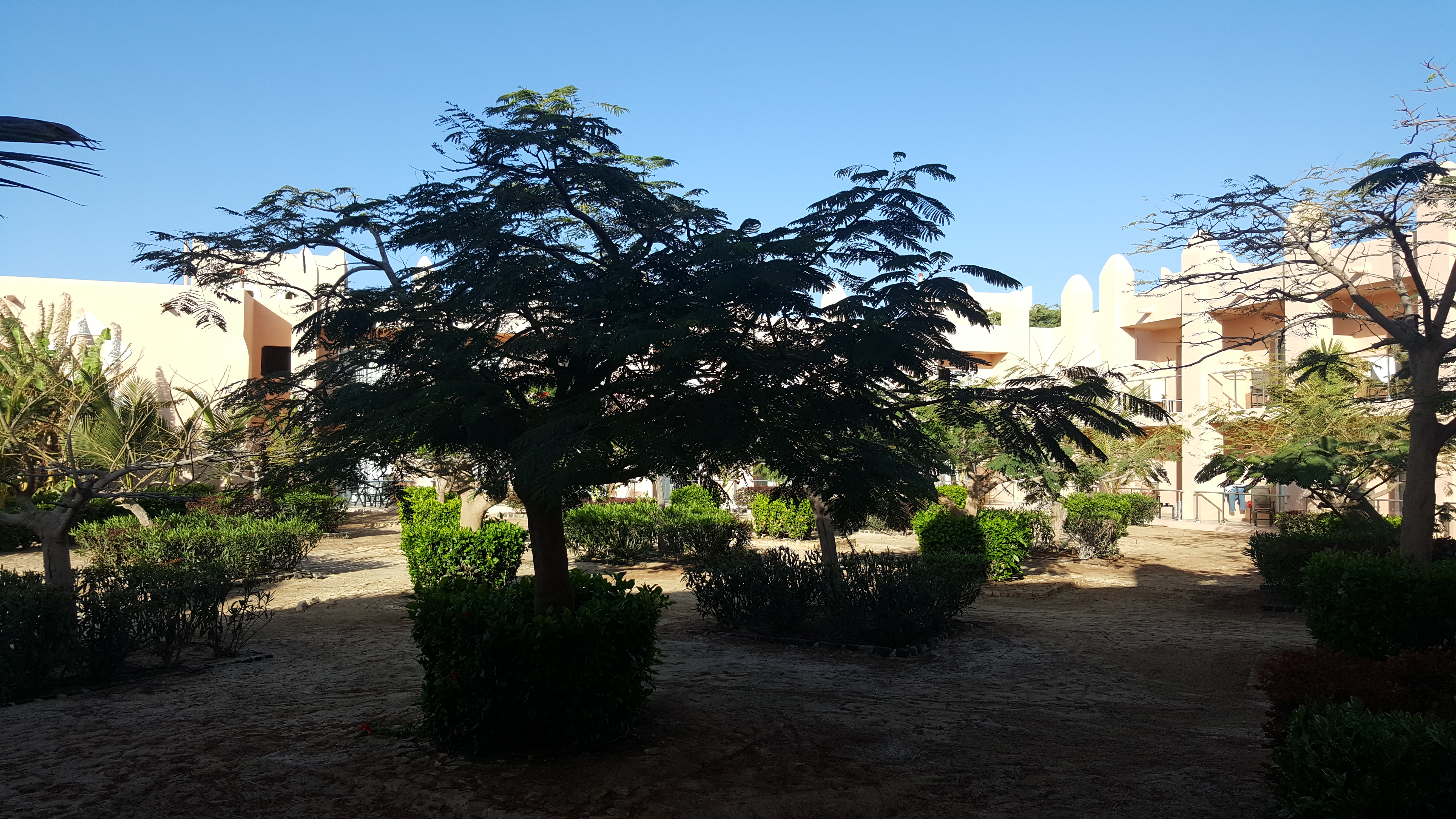 HOTEL CAMERE