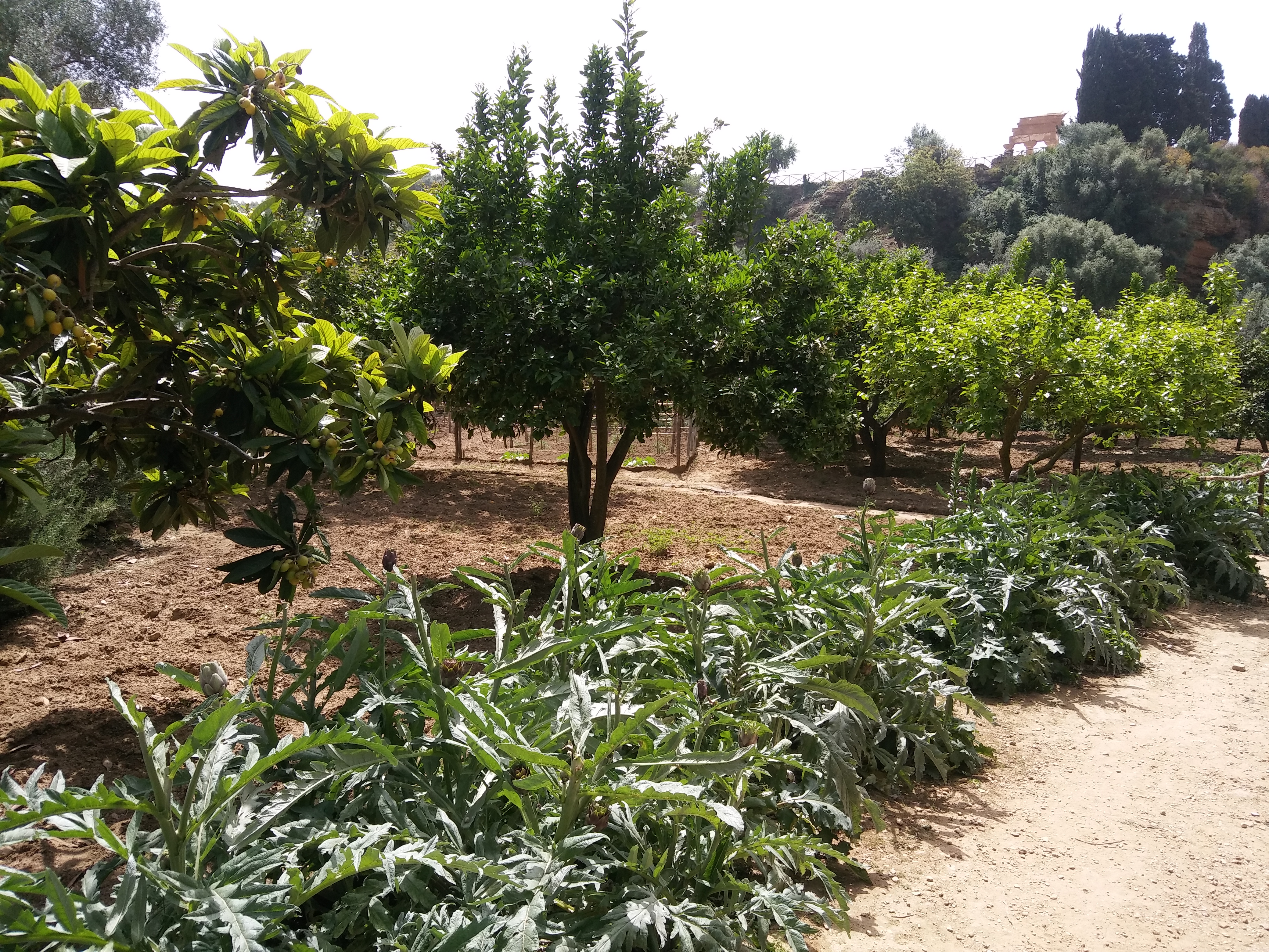 Giardini della Kolymbetra