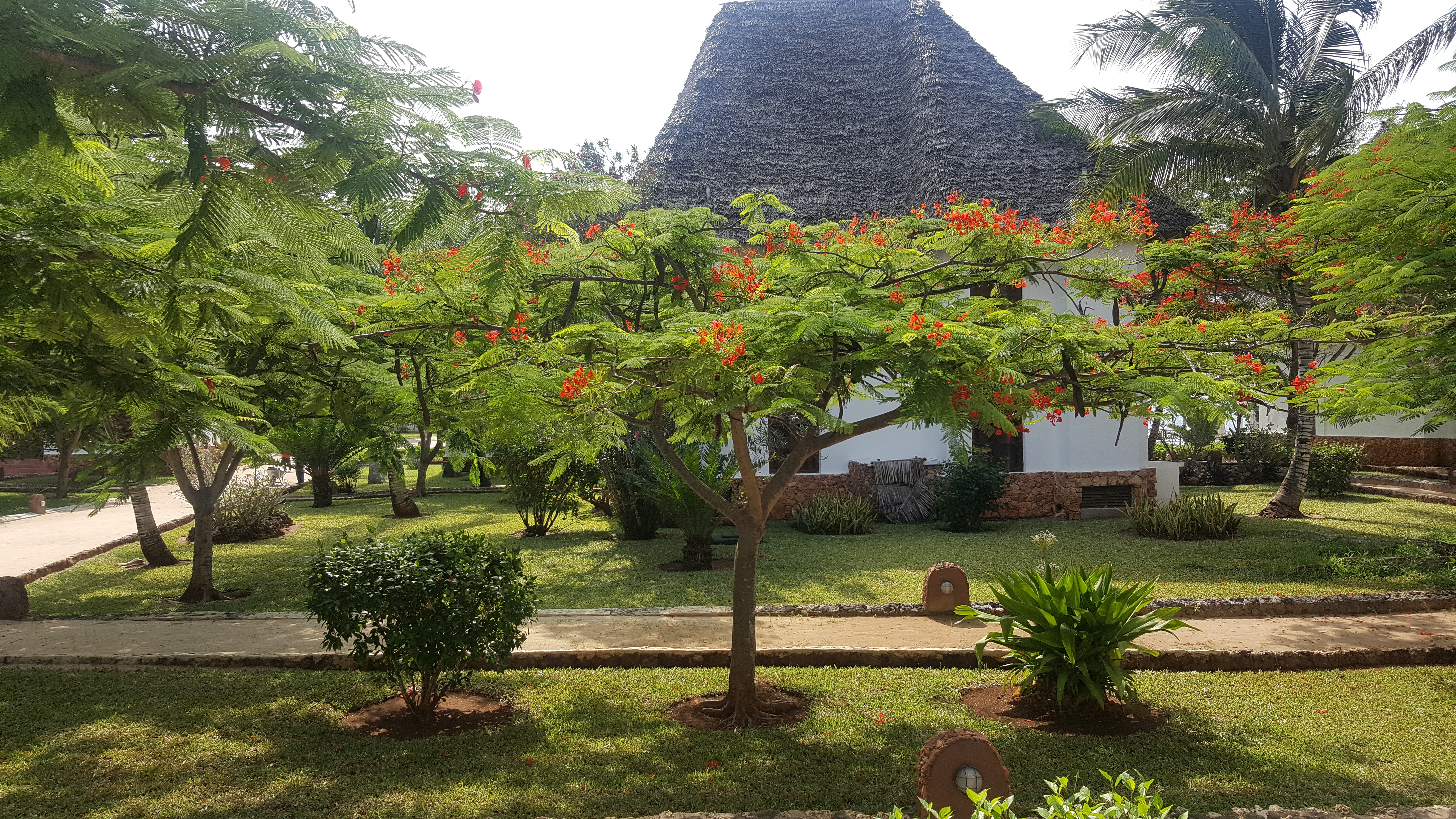 BUNGALOW