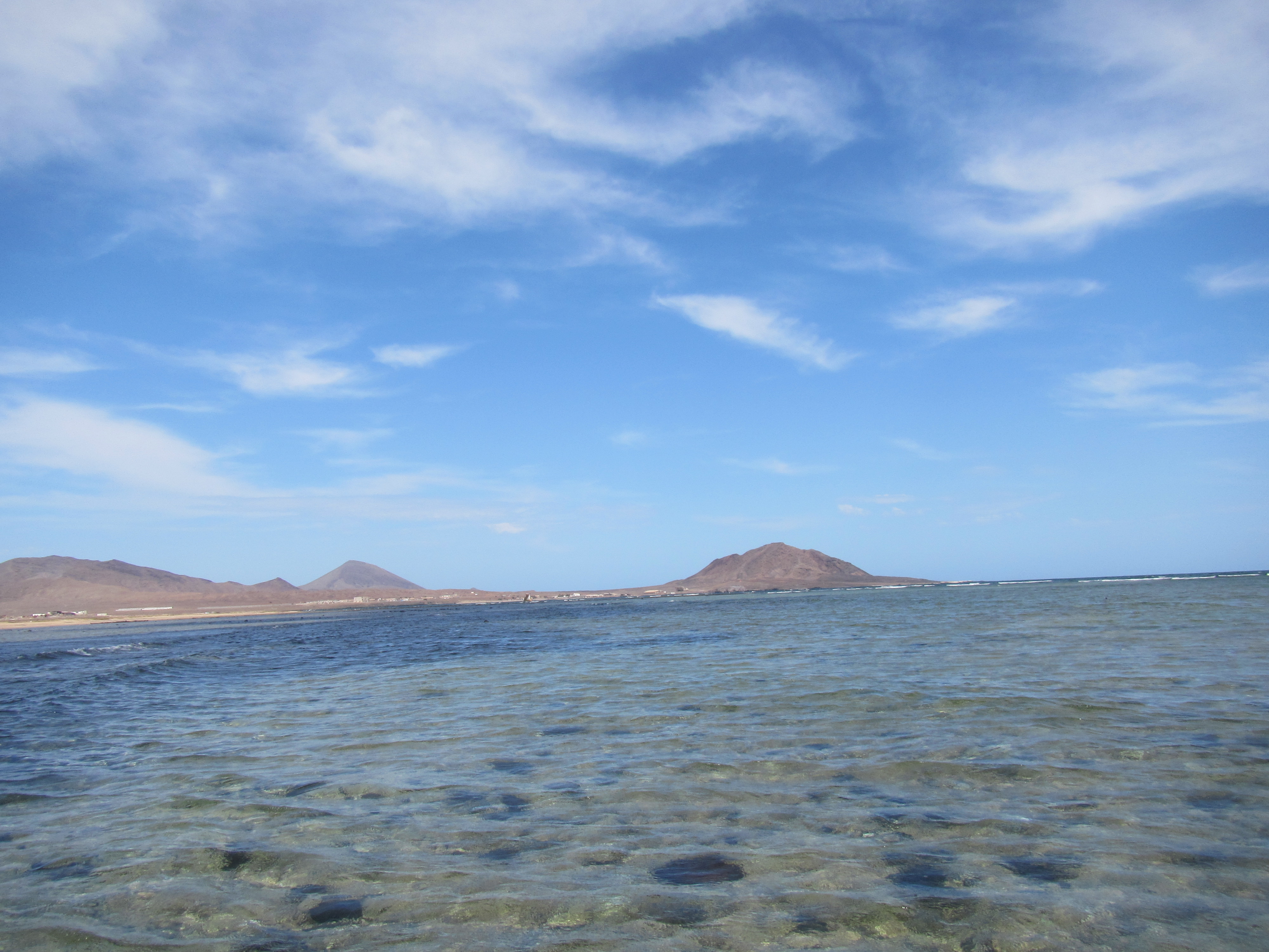 SHARK BAY