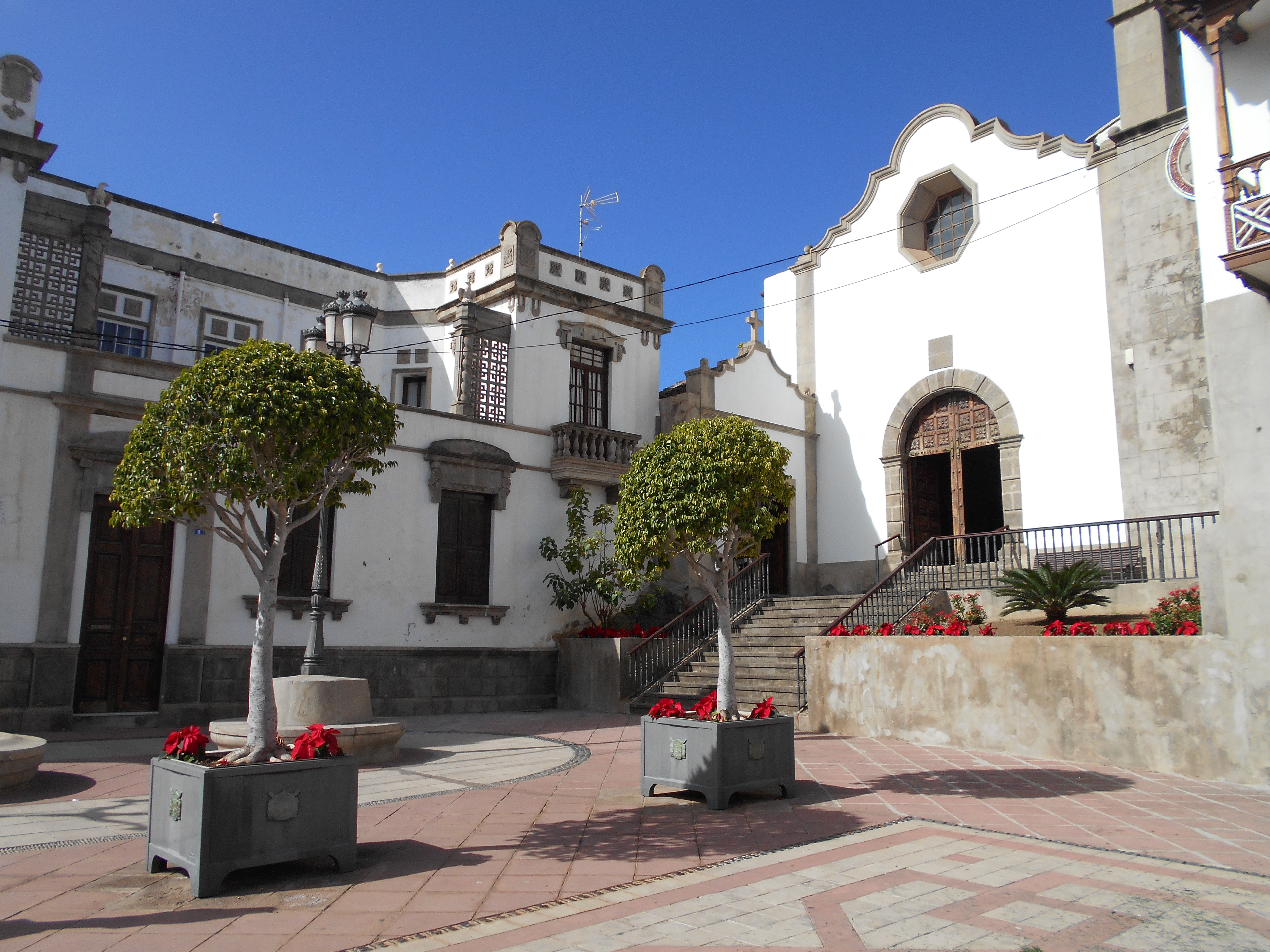 Icod de los vinos