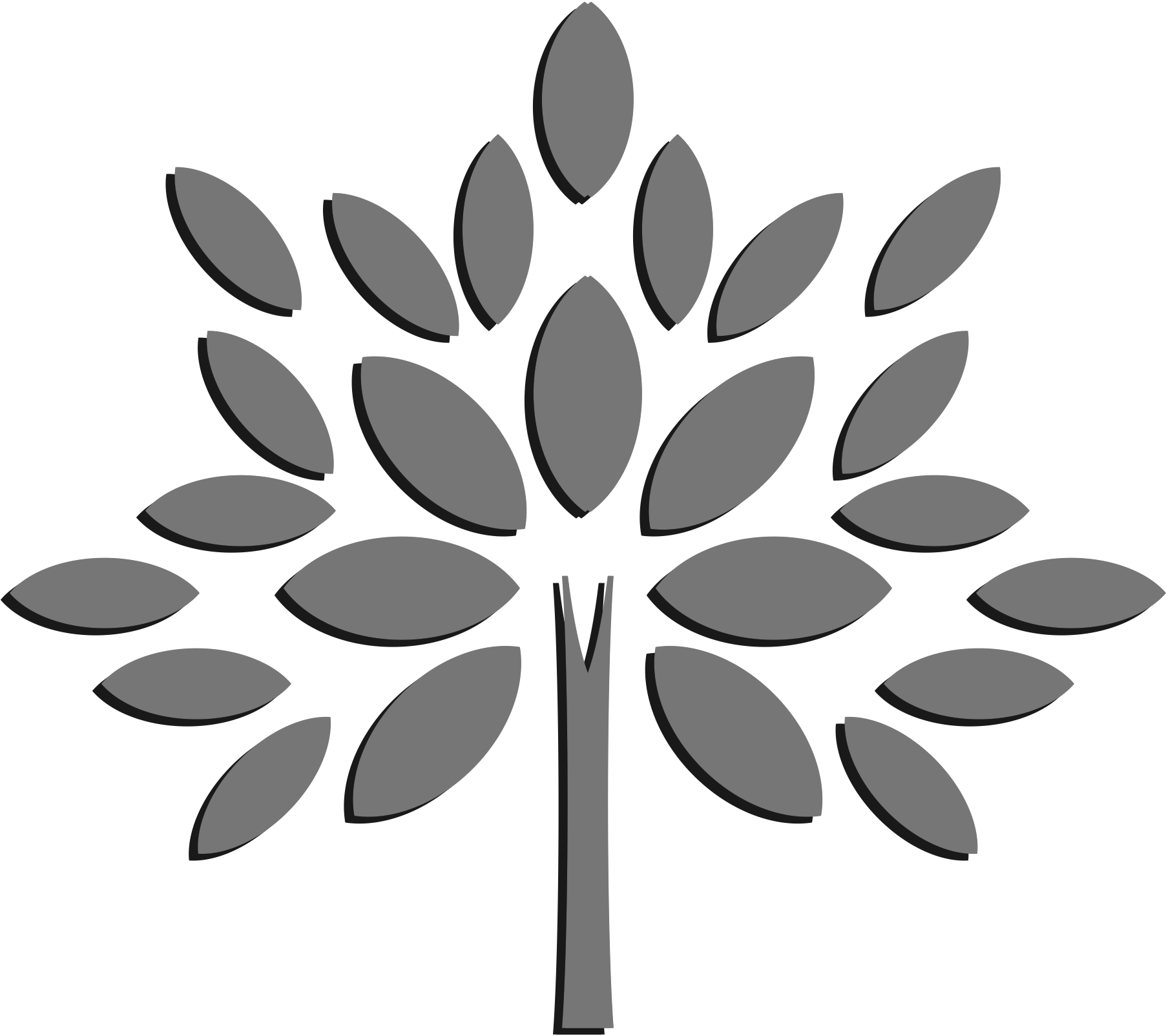 Foto del escritor: LET´S GROW MEXICO TEAM