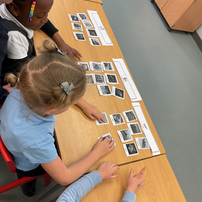 Y1 science