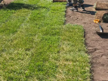 Plano Sod Installation - What You Need to Know Before You Start